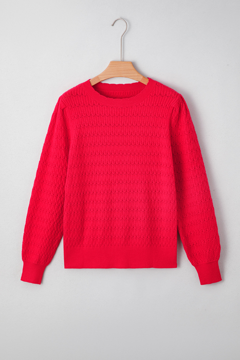 HIDDEN GEMS | Solid Knit Ribbed Cuff Crewneck Sweater