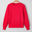  HIDDEN GEMS | Solid Knit Ribbed Cuff Crewneck Sweater