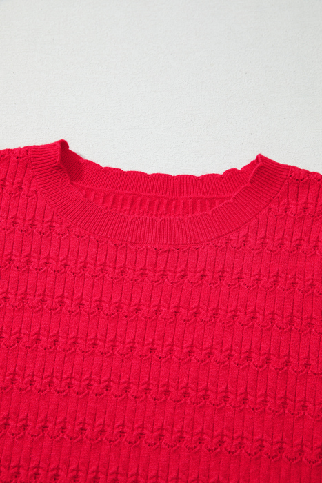 HIDDEN GEMS | Solid Knit Ribbed Cuff Crewneck Sweater
