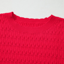 HIDDEN GEMS | Solid Knit Ribbed Cuff Crewneck Sweater