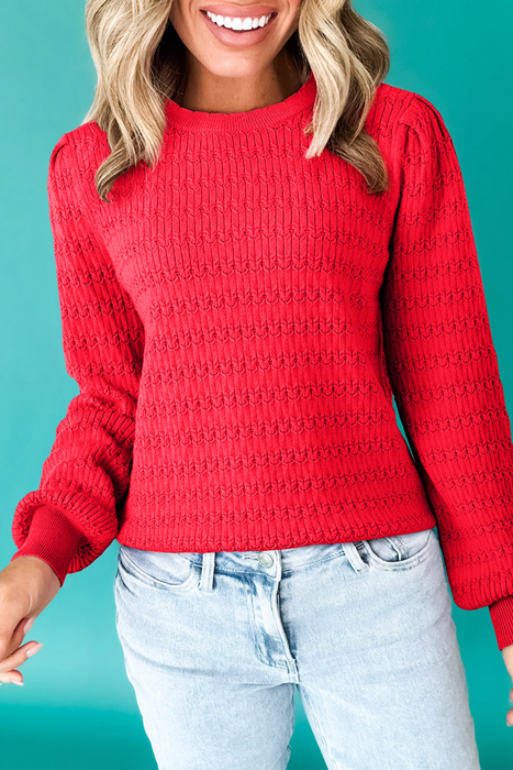 HIDDEN GEMS | Solid Knit Ribbed Cuff Crewneck Sweater