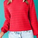  HIDDEN GEMS | Solid Knit Ribbed Cuff Crewneck Sweater