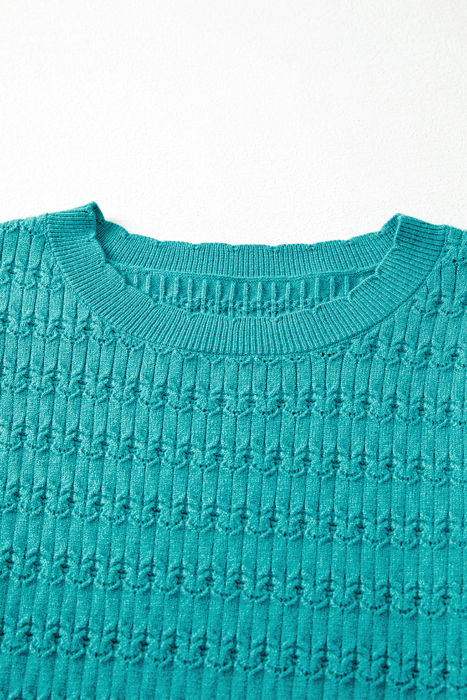 HIDDEN GEMS | Solid Knit Ribbed Cuff Crewneck Sweater