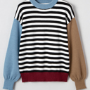  HIDDEN GEMS | Stripe Colorblock Ribbed Trim Sweater