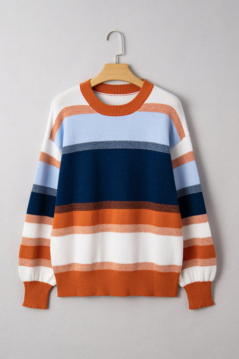 HIDDEN GEMS | Colorblock Round Neck Long Sleeve Sweater