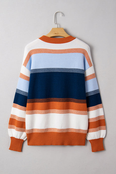 HIDDEN GEMS | Colorblock Round Neck Long Sleeve Sweater