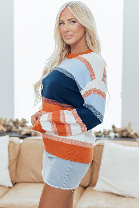 HIDDEN GEMS | Colorblock Round Neck Long Sleeve Sweater