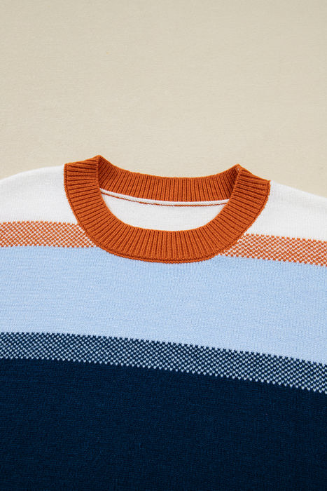 HIDDEN GEMS | Colorblock Round Neck Long Sleeve Sweater