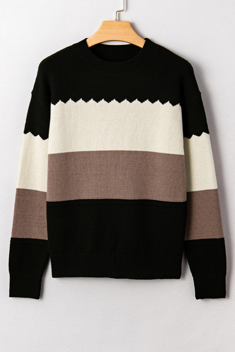 HIDDEN GEMS | Colorblock Crew Neck Drop Shoulder Sweater