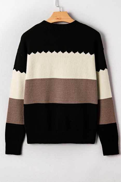 HIDDEN GEMS | Colorblock Crew Neck Drop Shoulder Sweater