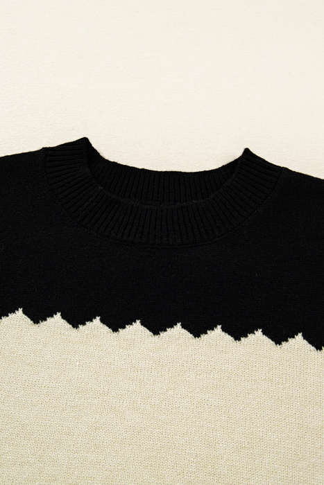 HIDDEN GEMS | Colorblock Crew Neck Drop Shoulder Sweater