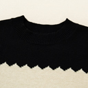  HIDDEN GEMS | Colorblock Crew Neck Drop Shoulder Sweater