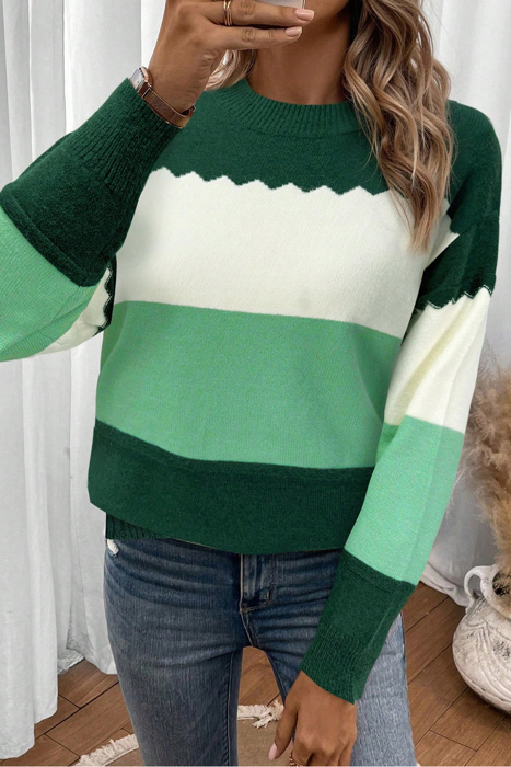 HIDDEN GEMS | Colorblock Crew Neck Drop Shoulder Sweater