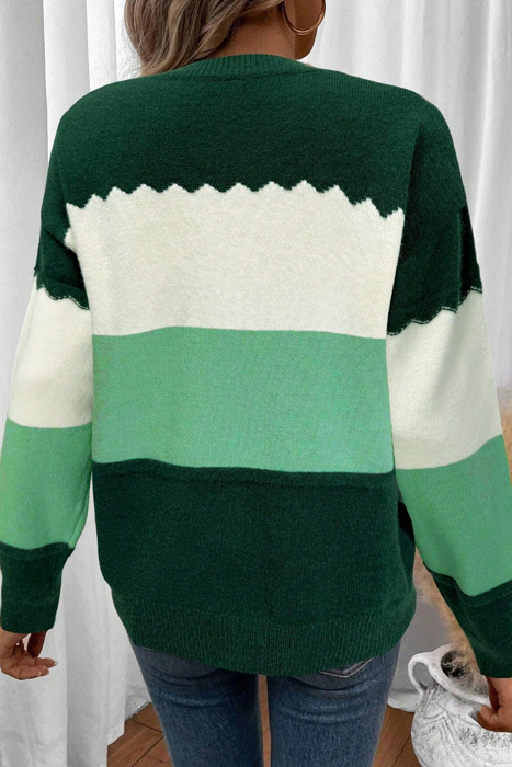 HIDDEN GEMS | Colorblock Crew Neck Drop Shoulder Sweater