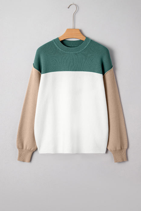 HIDDEN GEMS | Colorblock Ribbed Knit Long Sleeve Sweater
