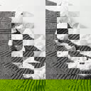  Eyelet Lace Trim Buttoned Cuff Sweater