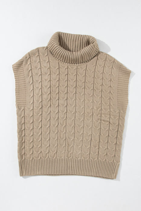 HIDDEN GEMS Cable Knit Turtleneck Top