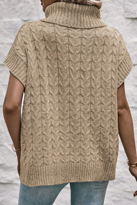 HIDDEN GEMS Cable Knit Turtleneck Top