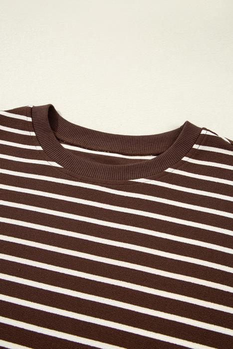 HIDDEN GEMS | Stripe Long Sleeve Cropped Crewneck T-Shirt