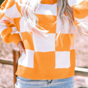  HIDDEN GEMS | Checker Bishop Sleeve Sweater