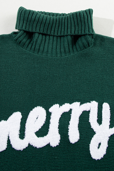 HIDDEN GEMS | Merry Embroidered Turtleneck Sweater