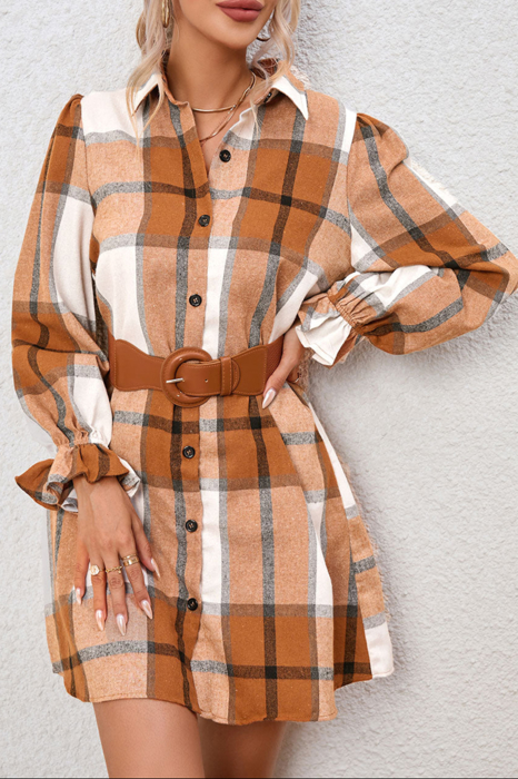 HIDDEN GEMS | Plaid Ruffle Sleeve Shirt Dress