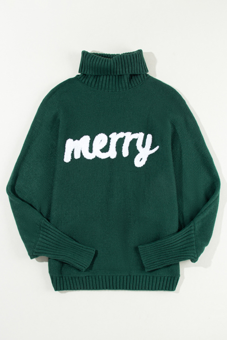 HIDDEN GEMS | Merry Embroidered Turtleneck Sweater