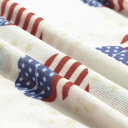  HIDDEN GEMS | Americana Mesh Long Sleeve Bodysuit
