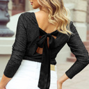  The Arlene Shimmery Bow Tie Back Top