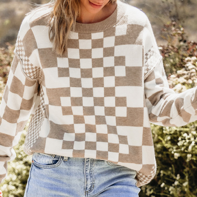 HIDDEN GEMS | Checker Round Neck Drop Shoulder Sweater