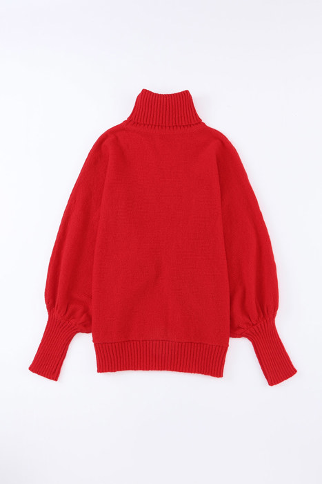 HIDDEN GEMS | Merry Embroidered Turtleneck Sweater