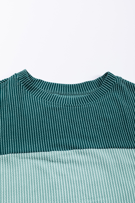 HIDDEN GEMS | Colorblock Ribbed Long Sleeve Top