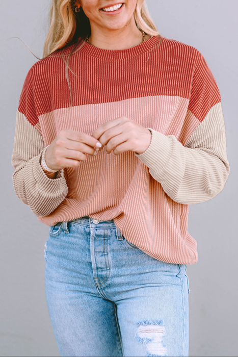 HIDDEN GEMS | Colorblock Ribbed Long Sleeve Top