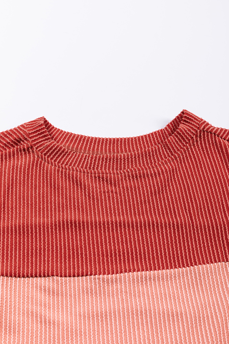 HIDDEN GEMS | Colorblock Ribbed Long Sleeve Top