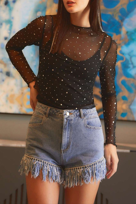 HIDDEN GEMS | Rhinestone Mesh Long Sleeve Top