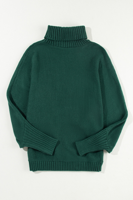 HIDDEN GEMS | Merry Embroidered Turtleneck Sweater