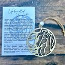 Unbridled Spirit Car Charms