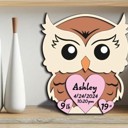 Owl Animal Shaped Birth Announcement Signs, Baby Stats Wood Sign, Birth Announcement Sign, Baby Wooden Sign, Birth Sign, Baby Birth Wooden Sign, Baby Gift, Baptism Gift