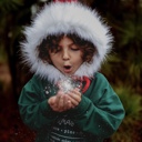  Fresh Farm Christmas Trees | Youth