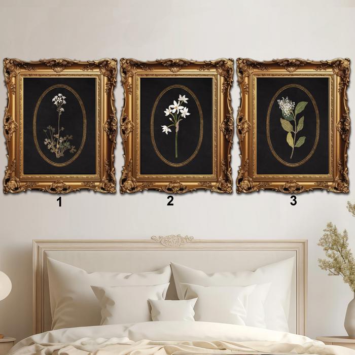 Vintage Black Botanical Collection