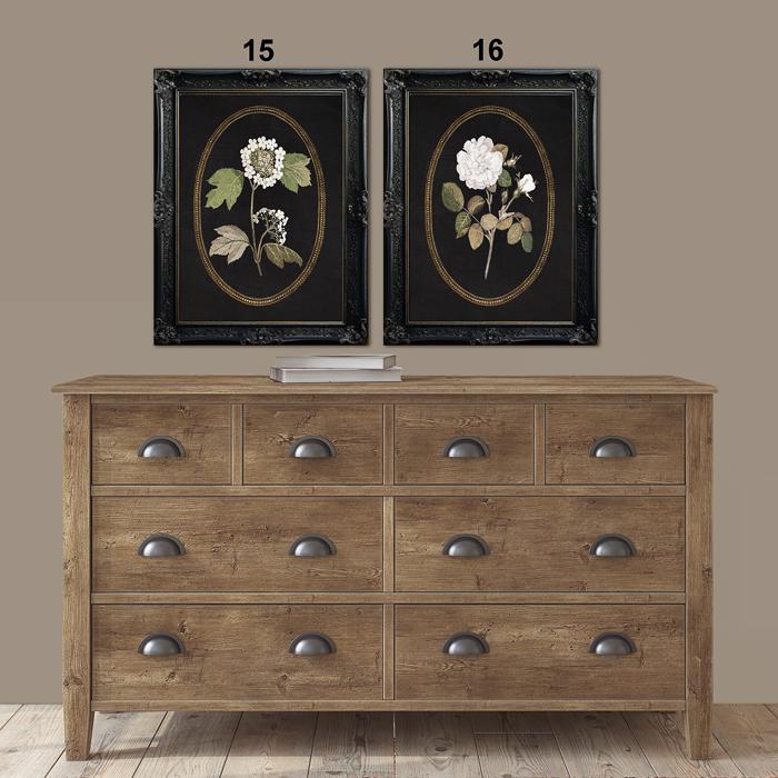 Vintage Black Botanical Collection