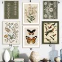 8x10 on 8.5x11 Paper 7. Green Template 11-12 Vintage Textile Art Prints