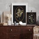  Vintage Black Botanical Collection