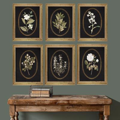 Vintage Black Botanical Collection