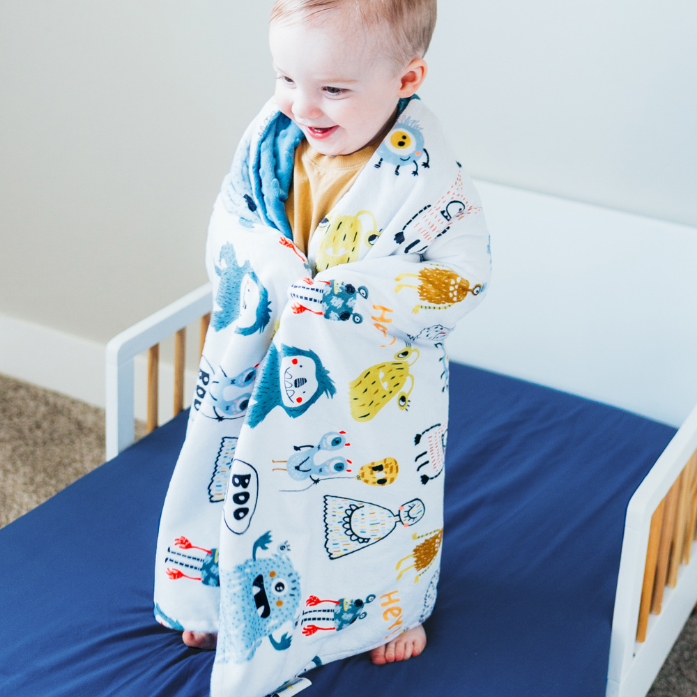 Premium Baby & Toddler Minky Blanket - Last Chance!