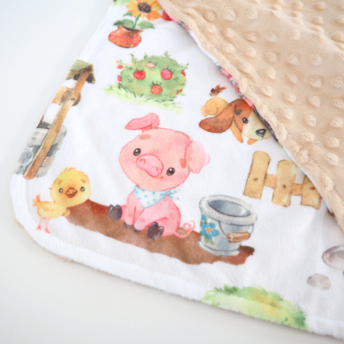 Premium Baby & Toddler Mini Minky Blanket