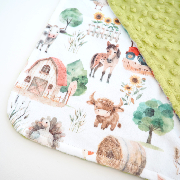 Premium Baby & Toddler Mini Minky Blanket