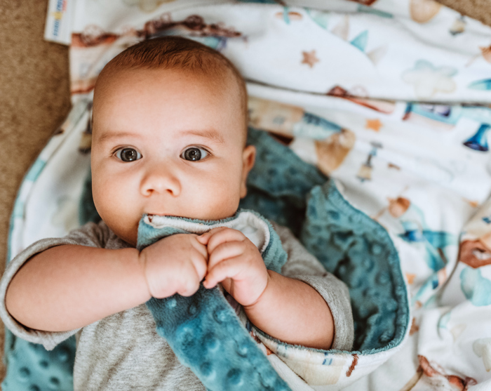 Premium Toddler & Baby Minky Blanket 30x40  - The Classics