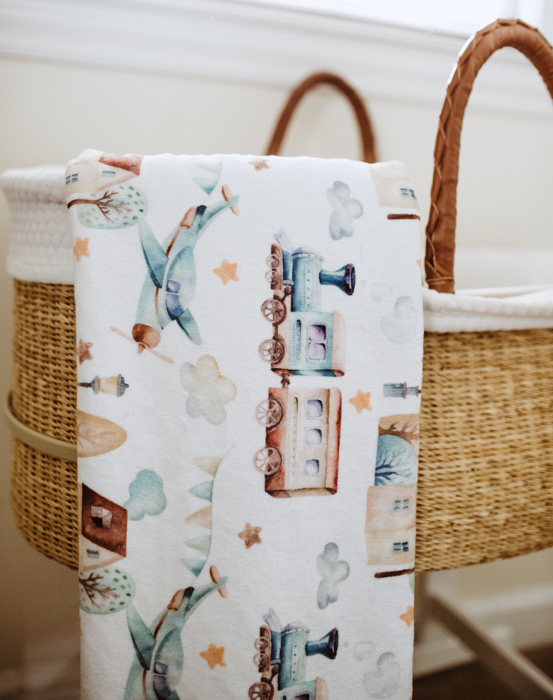 Premium Toddler & Baby Minky Blanket 30x40  - The Classics