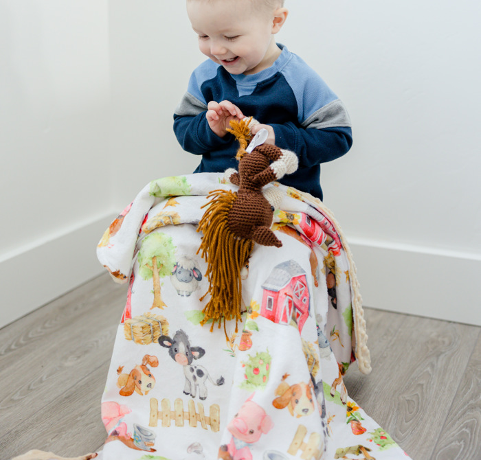 Premium Toddler & Baby Minky Blanket 30x40  - The Classics